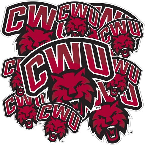 Desert Cactus Central Washington University Sticker Wildcats CWU Wellington Sticker Vinyl Decals Laptop Water Bottle Car Scrapbook Sheet T3 (Type 3-1) in Kuwait