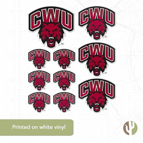 Desert Cactus Central Washington University Sticker Wildcats CWU Wellington Sticker Vinyl Decals Laptop Water Bottle Car Scrapbook Sheet T3 (Type 3-1) in Kuwait