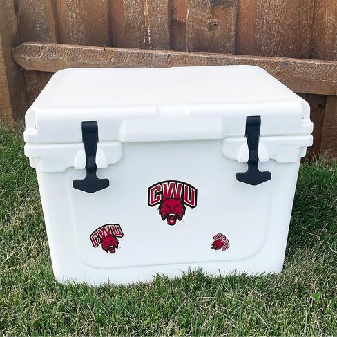 Desert Cactus Central Washington University Sticker Wildcats CWU Wellington Sticker Vinyl Decals Laptop Water Bottle Car Scrapbook Sheet T3 (Type 3-1) in Kuwait