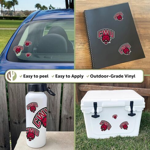 Desert Cactus Central Washington University Sticker Wildcats CWU Wellington Sticker Vinyl Decals Laptop Water Bottle Car Scrapbook Sheet T3 (Type 3-1) in Kuwait