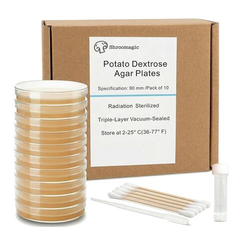 Potato Dextrose Agar (PDA) Plates 10 Pack, Pre-Poured Petri Dishes for Mushroom Cultivation, Science Projects, Mycology, Triple Vacuum Sealed Nutrient Agar in Kuwait