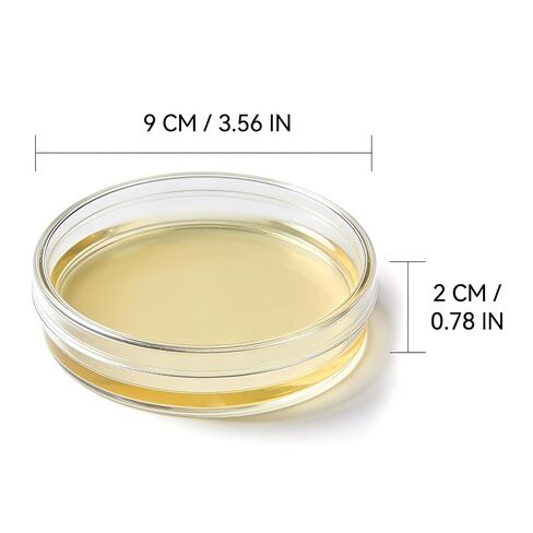 Potato Dextrose Agar (PDA) Plates 10 Pack, Pre-Poured Petri Dishes for Mushroom Cultivation, Science Projects, Mycology, Triple Vacuum Sealed Nutrient Agar in Kuwait
