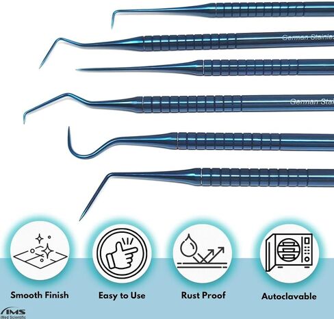 6 Professional Dental Tartar Scraper Tools Titanium Coated Single Ended Tartar Remover for Teeth, Dental Pick, Plaque Remover, Tooth Scraper for Added Oral Care at Home, Stainless Steel in Kuwait