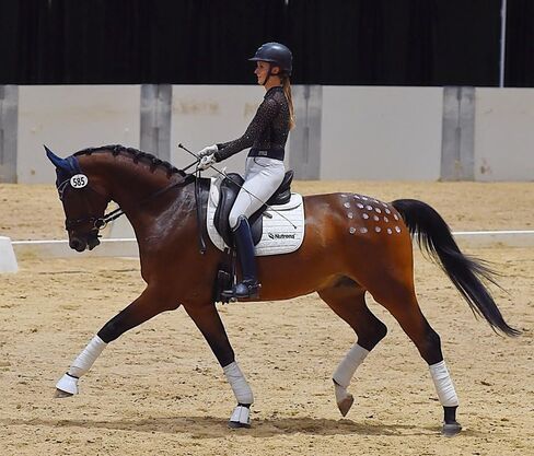 وسادة نصف قطنية من Thinline Trifecta in Kuwait