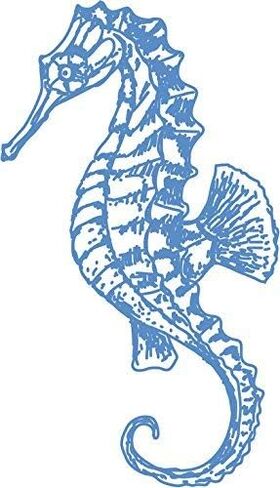 Pretty Delicate Light Blue Sea Ocean Life Cartoon Art Vinyl Decal Bumper Sticker (4" Tall, Seahorse #1) in Kuwait