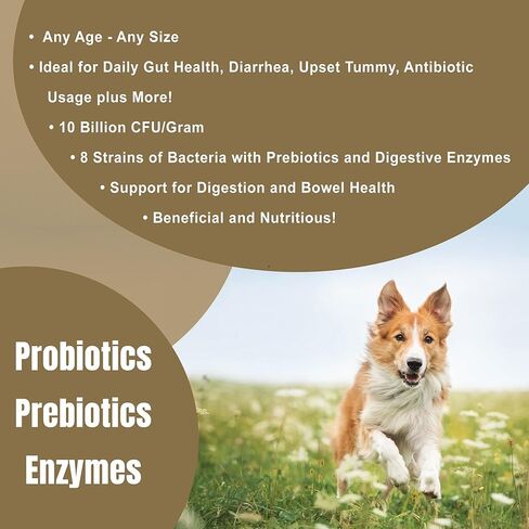 Dogzymes Probiotic Max -10 مليار بروبيوتيك CFU، البريبايوتكس، الإنزيمات الهاضمة - (8 أونصة) in Saudi Arabia