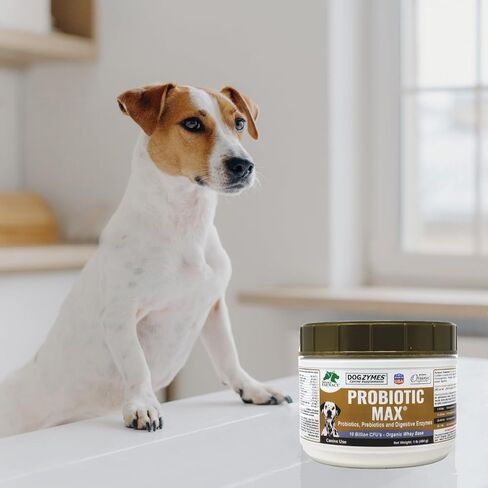 Dogzymes Probiotic Max -10 مليار بروبيوتيك CFU، البريبايوتكس، الإنزيمات الهاضمة - (8 أونصة) in Saudi Arabia