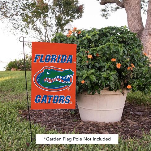 Desert Cactus University of Florida UF Garden Flag – 19 x 12 inch Florida Gators Banner, For Outdoor Display and Events (Design G) in Kuwait