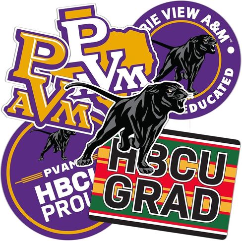ملصق صبار الصحراء المرج عرض A&M جامعة ملصق الفهود PVAMU ملصق شارات الفينيل زجاجة مياه الكمبيوتر المحمول سجل القصاصات السيارة (T2 HBCU-B) in Kuwait
