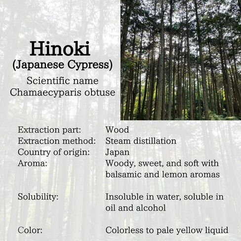 ［KYOTO ASANOHA］Hinoki Essential Oil 100% Pure Japanese Cypress | 0.34 fl oz(10ml) | Earthy Wood Scent for Diffuser, Zen Meditation, and Forest Bathing (Shinrin-yoku) | Made in Japan in Kuwait