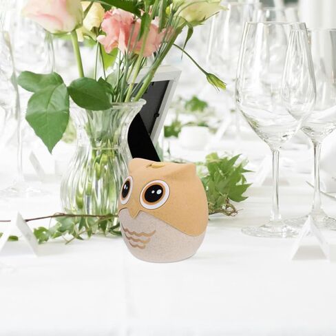 Ciieeo Owl Toothpick Holder Cartoon Shape Toothpick Dispenser Decorative Box Kitchen Accessory 3.26 X 3.07 X 1.96 Inches in Kuwait