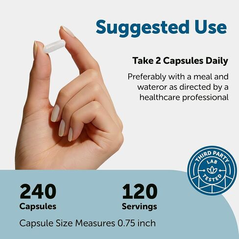 المكونات الدقيقة DHEA 50 مجم لكل حصة، 240 كبسولة | مكمل DHEA الدقيق للنساء والرجال | غير معدل وراثيًا، خالي من الغلوتين، خالي من الصويا in Kuwait