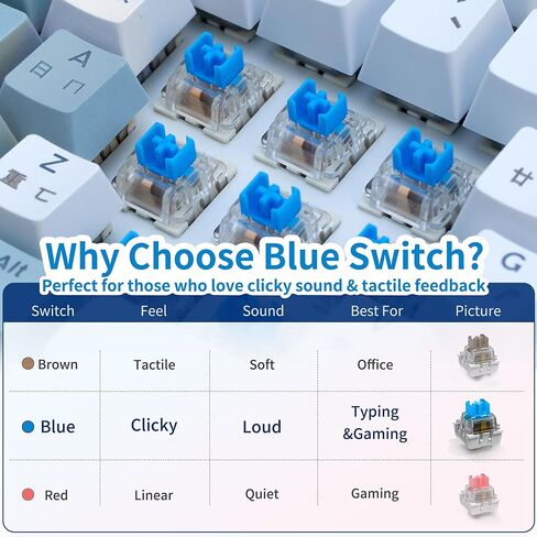 Nadadora 2 قطعة مفاتيح لوحة مفاتيح ميكانيكية زرقاء، مقاومة للغبار 3 دبابيس Clicky Tactile MX المتوافقة مع مفتاح التبديل، استبدال غطاء شفاف للوحة المفاتيح DIY، اختبار التبديل ونقر الطباعة ثلاثية الأبعاد in Kuwait