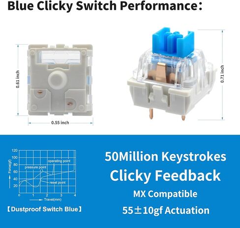 Nadadora 2 قطعة مفاتيح لوحة مفاتيح ميكانيكية زرقاء، مقاومة للغبار 3 دبابيس Clicky Tactile MX المتوافقة مع مفتاح التبديل، استبدال غطاء شفاف للوحة المفاتيح DIY، اختبار التبديل ونقر الطباعة ثلاثية الأبعاد in Kuwait