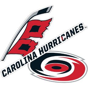 ملصق صبار الصحراء كارولينا الأعاصير NHL Team National Hockey League ملصق حائط من الفينيل‏ للكمبيوتر المحمول وزجاجة مياه وقصاصات السيارة (النوع 5-1) in Kuwait