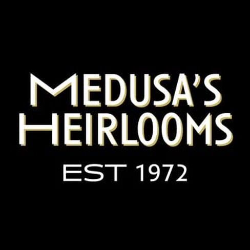 NEW Medusa Heirloom LARGE Yoga Clip, Praline in Kuwait