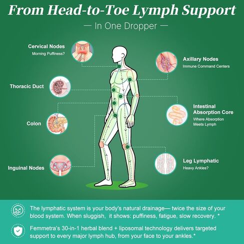 Liposomal Lymphatic Drainage Supplements with 30-in-1 Herbal Blend - Echinacea | Oregano | Milk Thistle - Sugar Free Lymph System Drops - Immune Support, Cleanse & Detox, Raspberry Flavor, 2 fl oz in Kuwait