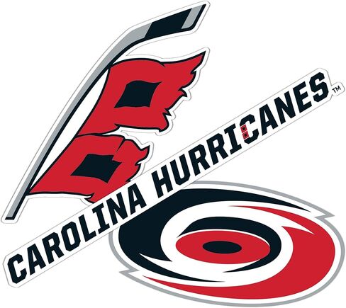 Desert Cactus Carolina Hurricanes Sticker NHL Team National Hockey League Vinyl Decal Laptop Water Bottle Car Scrapbook (Type 5-1) in Kuwait