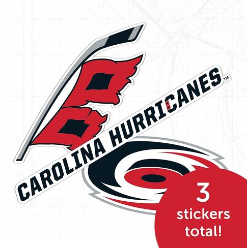 Desert Cactus Carolina Hurricanes Sticker NHL Team National Hockey League Vinyl Decal Laptop Water Bottle Car Scrapbook (Type 5-1) in Kuwait