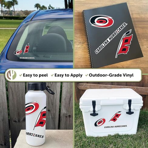 Desert Cactus Carolina Hurricanes Sticker NHL Team National Hockey League Vinyl Decal Laptop Water Bottle Car Scrapbook (Type 5-1) in Kuwait