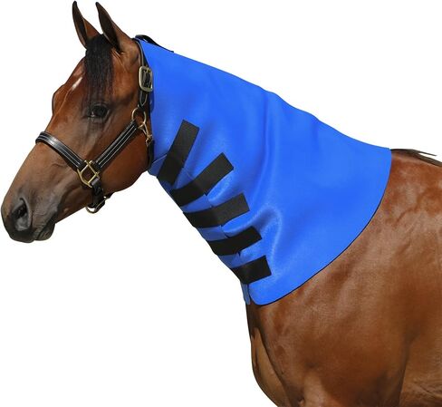 Dura-Tech Superior Neck Sweat for Horses | Horse's Sculpting Aid | Designed by Professionals | Stretchy Neoprene Adjustable Closure | Achieve Quick Results | Size Large in Kuwait