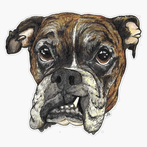 Brindle الملاكم الفينيل ملصق مضاد للمياه ملصق سيارة محمول جدار نافذة ملصقات للسيارة متعددة الأشكال 5" in Kuwait