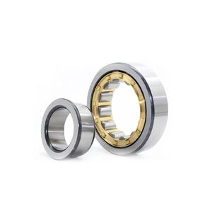 1 Pcs Cylindrical Roller Bearings NJ213 214 215 216 217 218 219 220 221 222 224EM(NJ222) in Saudi Arabia