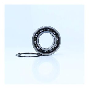 63004 2RS Non-Standard Deep Groove Ball Bearings 20x42x16mm ABEC-1 Bearing 204216 in Kuwait