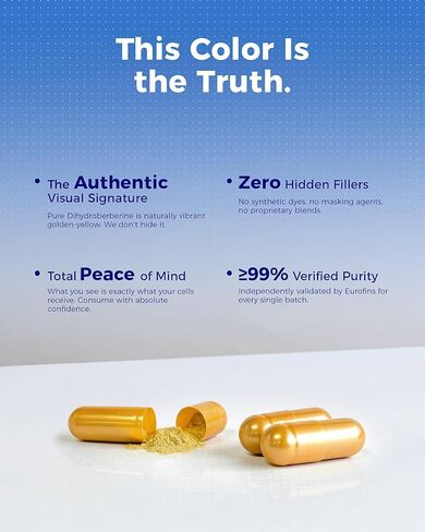 مكمل Elgin® Precision Berberine - مكمل GlucoVantage Dihydroberine الحاصل على براءة اختراع بقدرة امتصاص 5 مرات، يدعم التحكم الصحي في الوزن*، لطيف على المعدة، 60 كبسولة نباتية غير معدلة وراثيًا in Kuwait