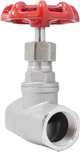 1/2inch 3/4inch 1inch DN15 DN20 DN25 Stainless Steel Threaded Globe Valve for Water(DN20) in Saudi Arabia