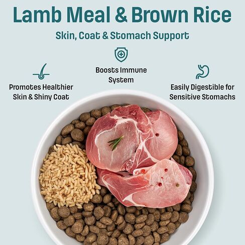 I20 Ideal Solution Support Skin, Coat & Stomach Dry Dog Food, Lamb & Brown Rice Recipe, Made with Holistic Nutrition for Sensitive Digestion & Shiny Coat (25 Pounds) in Saudi Arabia