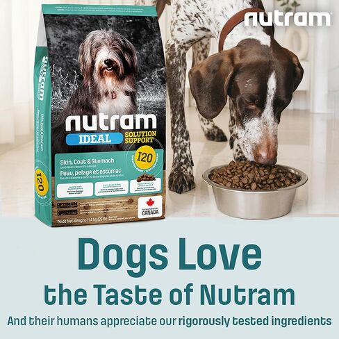 I20 Ideal Solution Support Skin, Coat & Stomach Dry Dog Food, Lamb & Brown Rice Recipe, Made with Holistic Nutrition for Sensitive Digestion & Shiny Coat (25 Pounds) in Saudi Arabia