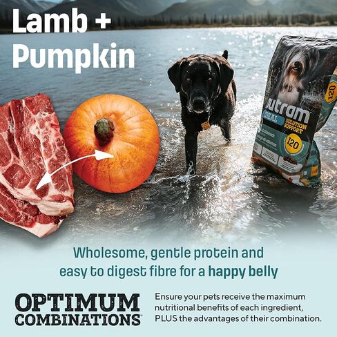 I20 Ideal Solution Support Skin, Coat & Stomach Dry Dog Food, Lamb & Brown Rice Recipe, Made with Holistic Nutrition for Sensitive Digestion & Shiny Coat (25 Pounds) in Saudi Arabia