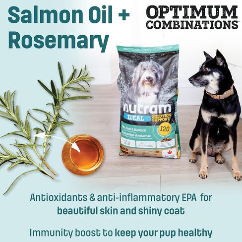 I20 Ideal Solution Support Skin, Coat & Stomach Dry Dog Food, Lamb & Brown Rice Recipe, Made with Holistic Nutrition for Sensitive Digestion & Shiny Coat (25 Pounds) in Saudi Arabia