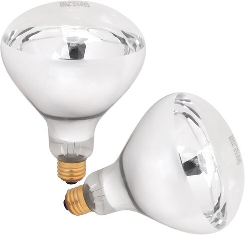 Aiicioo 250W R40 مصباح الحرارة الشفاف R40 لمبة الحرارة المتوهجة للحيوانات الأليفة لمبة ضوء الفيضانات للدجاج، ضوء الحمام بالأشعة تحت الحمراء الواضحة E26 قاعدة 2 حزمة in Kuwait