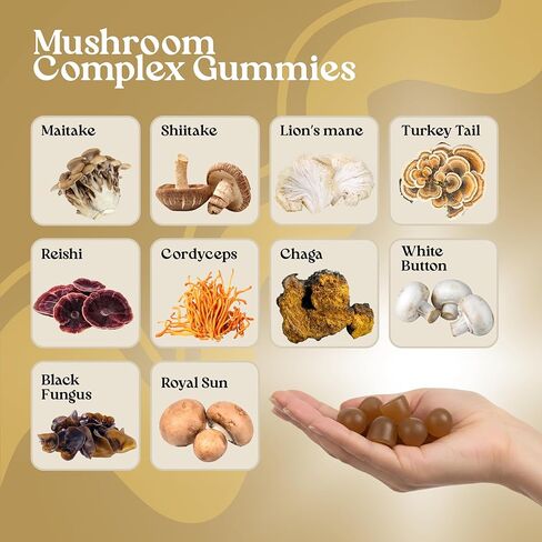 VITA GLOBE Mushroom Complex Gummies - 250 مجم مع الريشي، عرف الأسد، تشاجا، كورديسيبس والمزيد | مكمل يومي للدفاع المناعي والطاقة ودعم وظائف المخ - 60 قطعة (عبوة من قطعة واحدة) in Kuwait