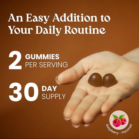 VITA GLOBE Mushroom Complex Gummies - 250 مجم مع الريشي، عرف الأسد، تشاجا، كورديسيبس والمزيد | مكمل يومي للدفاع المناعي والطاقة ودعم وظائف المخ - 60 قطعة (عبوة من قطعة واحدة) in Kuwait