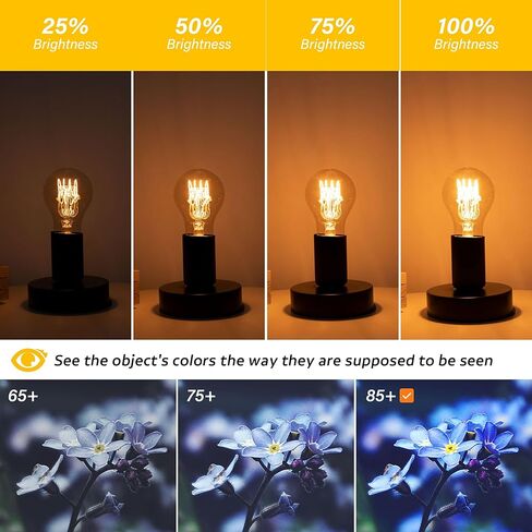 Dimmable E26 A19 Edison Bulbs Vintage Amber Light Bulbs 40 watt,Decorative Antique Spiral Filament Warm 2200K LED Light Bulb 400LM,for Rustic,Lamp,Chandelier,Pendant,Pack of 2 in Saudi Arabia