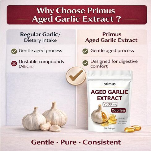 Primus Aged Garlic, مكمل الثوم عديم الرائحة، 300 كبسولة هلامية، تركيبة نباتية لدعم الصحة اليومية (1) in Kuwait