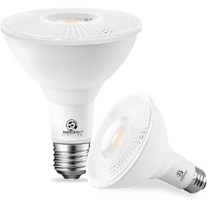 Energetic PAR30 LED Bulbs, Flood Light Outdoor Indoor 10 Watt (75 Watt Equivalent), 5000K Daylight, 1000 Lumens, E26 Base, Dimmable, Waterproof LED Recessed Light Bulbs for Security (2 Pack) in Saudi Arabia