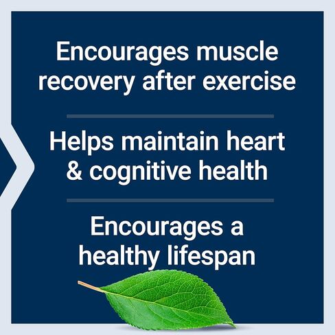 Life Extension Taurine، مكمل الأحماض الأمينية التورين النقي، صحة القلب والكبد والدماغ، طول العمر، العضلات والتمارين الرياضية، 1000 مجم، غير معدل وراثيًا، خالي من الغلوتين، نباتي، 180 كبسولة نباتية in Kuwait