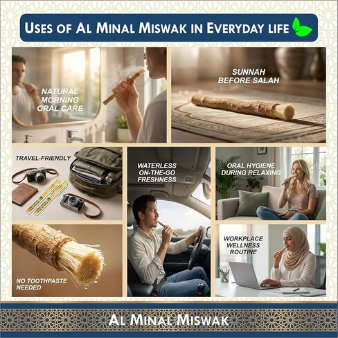 Sewak Natural Miswak Sticks for Teeth, Pack of 6 with 2 Holders, Vacuum Sealed Traditional Peelu Toothbrush in Kuwait