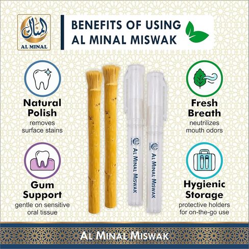 Sewak Natural Miswak Sticks for Teeth, Pack of 6 with 2 Holders, Vacuum Sealed Traditional Peelu Toothbrush in Kuwait