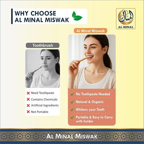 Sewak Natural Miswak Sticks for Teeth, Pack of 6 with 2 Holders, Vacuum Sealed Traditional Peelu Toothbrush in Kuwait