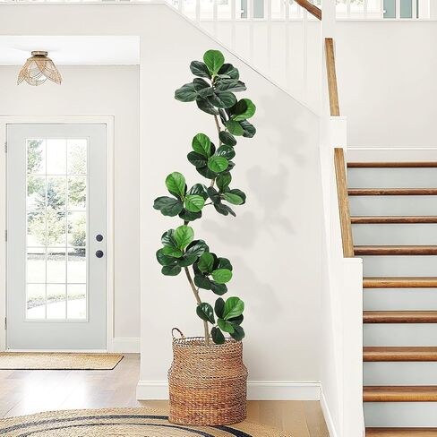 شجرة اصطناعية من GarveeHome Fiddle Leaf Fig مع زارع أبيض، نباتات صناعية بطول 6 أقدام في الداخل مع طحلب، نبات أرضي مزيف طويل القامة من المطاط في وعاء - أشجار صناعية لديكور غرفة المعيشة في المكتب المنزلي in Saudi Arabia