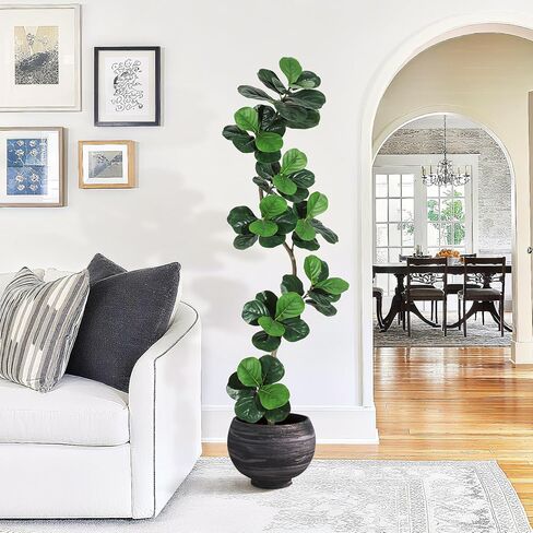 شجرة اصطناعية من GarveeHome Fiddle Leaf Fig مع زارع أبيض، نباتات صناعية بطول 6 أقدام في الداخل مع طحلب، نبات أرضي مزيف طويل القامة من المطاط في وعاء - أشجار صناعية لديكور غرفة المعيشة في المكتب المنزلي in Saudi Arabia