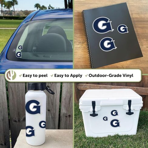 Desert Cactus Georgetown University Sticker Hoyas GU Vinyl Decals Laptop Water Bottle Car Scrapbook T3 (Type 3-6) in Kuwait
