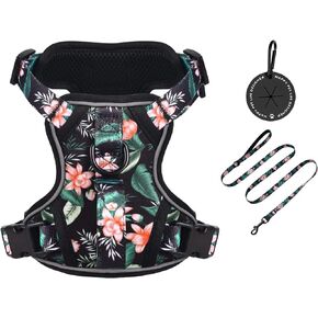 Petmolico Dog Harness for Small Dogs, Cute Harness Vest with Two Leash Clips and Soft Handle, Reflective Easy Walk Puppy Vest - Light Blue, X-Small