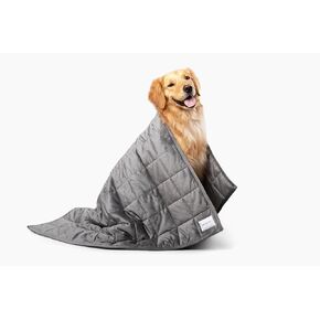 Gravity Premium Original Weighted Dog Blanket, Calming, Relaxation & Anxiety Relief for Pets, Comfortable & Cozy Blanket for Anxious Dogs, Washable, Grey, Small, 32 x 24 in, 2 lbs