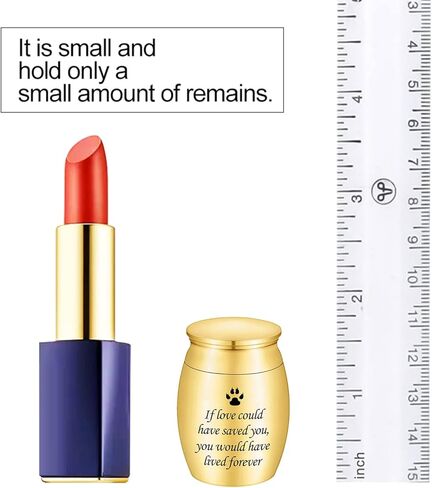 Small Cremation Urn for Pet Ashes 2 inches Mini Pet Paw Keepsake Urn Stainless Steel Memorial Keepsake Urns for Dogs Cats Ashes Holder-If Love Could Have Saved You (Black) in Kuwait